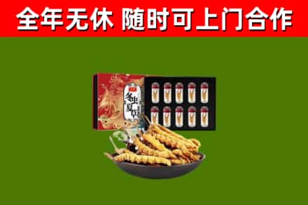 建宁烟酒回收冬虫夏草礼盒.jpg